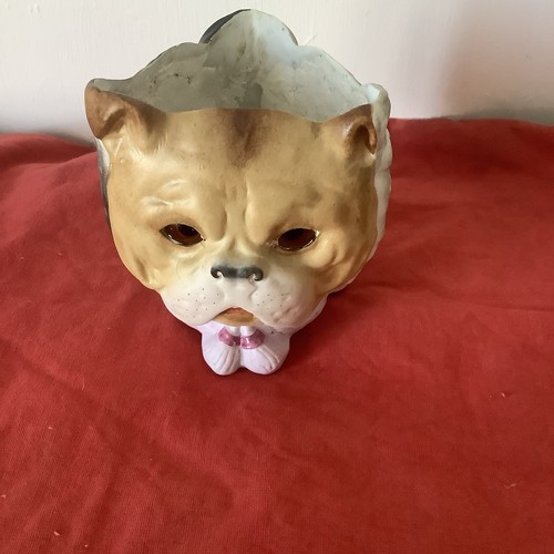 Cat dog owl lamp - owl, faces