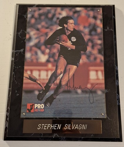 Stephen silvagni vintage - stephen,