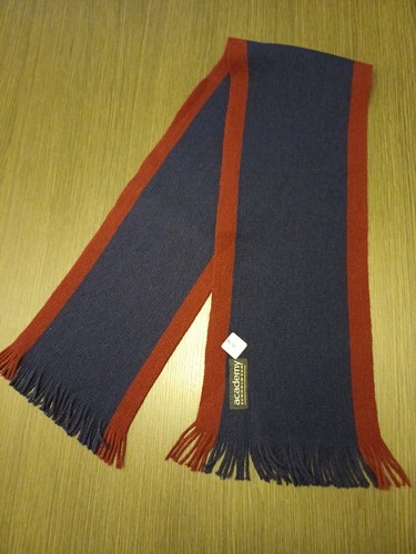 Navy burgundy stripe - navy, knitted