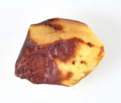 Baltic raw amber - baltic,