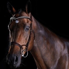 Collegiate ComFiTec Patent