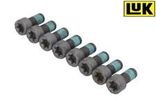 SCREW SET FLYWHEEL 411012110