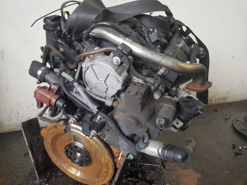 Ford focus engine tdci - ford,
