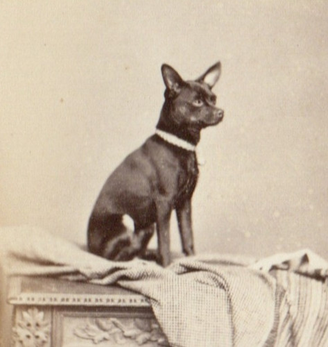 Watford cdv wonderful - watford,