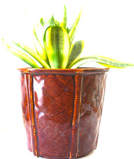 Vintage Churchill Brown Glazed Plant Pot Jardiniere Oriental Bamboo Design