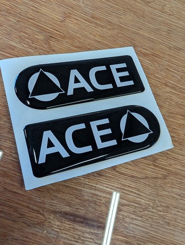 Ace oblong resin domed - ace,