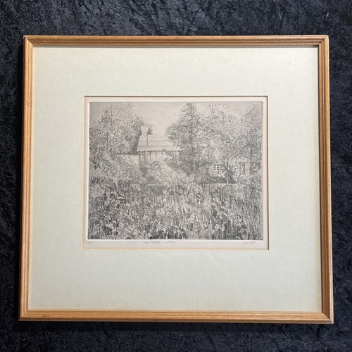 Jane tippett ltd signed - jane, ed