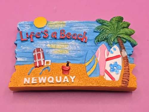 Fridge magnet souvenir - magnet,