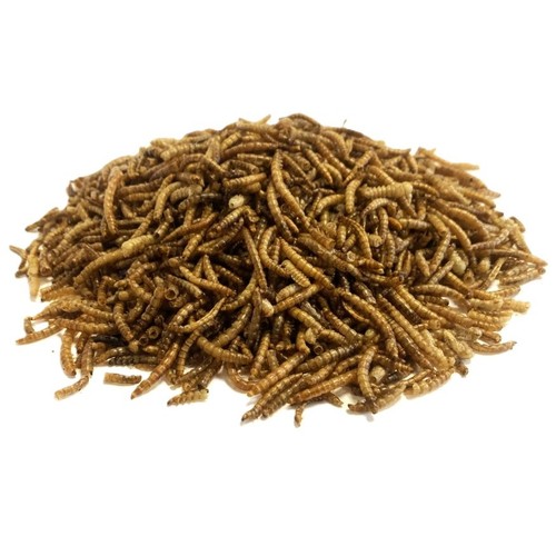 Premium dried mealworms 60 - premium, mealworms,