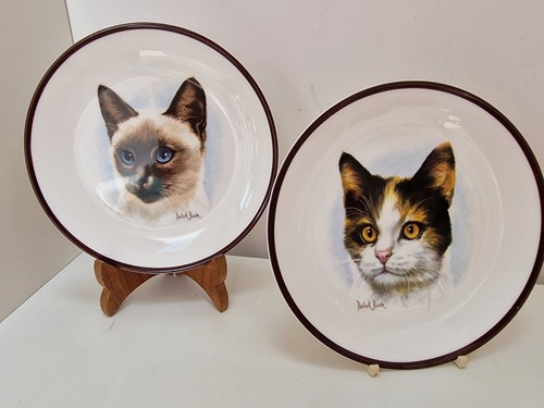 Vintage coalport pottery plate - pottery,