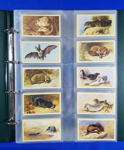 Grandee cigarette cards - grandee,
