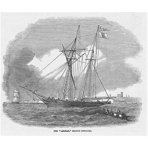 The azorian orange schooner - azorian,
