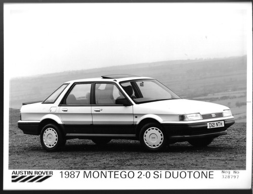 Austin montego si duotone - austin,