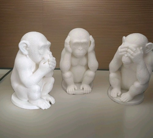 The wise monkeys ready - the,