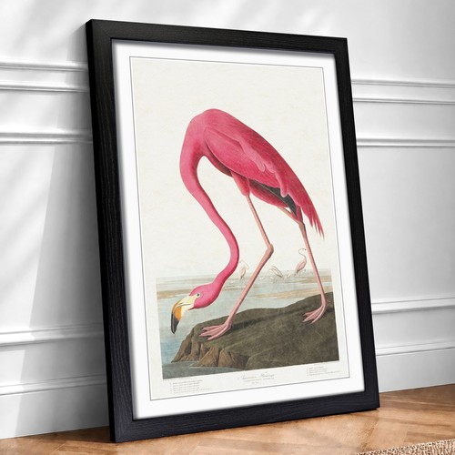 Pink flamingo landscape bird - flamingo,