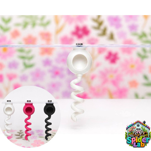 Jumping spider magnetic spiral - jumping,