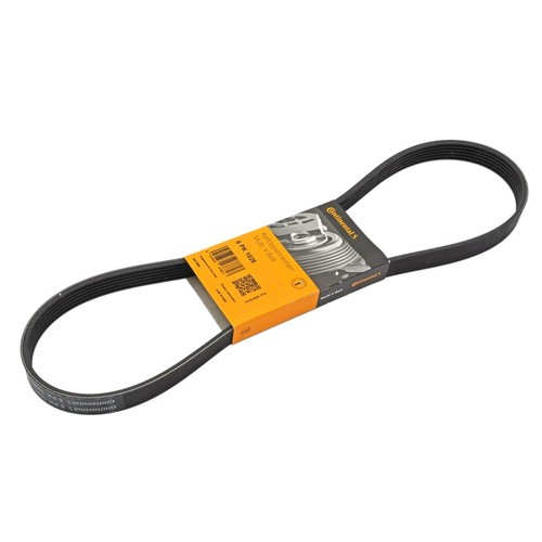 Ribbed belt for audi - v-ribbed,