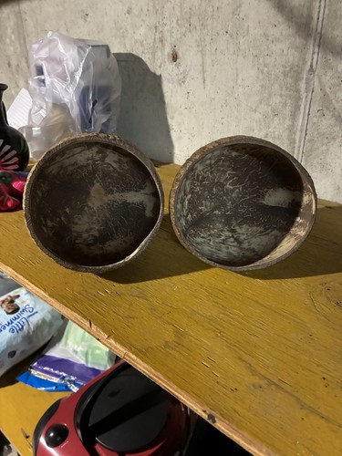 Malibu coconut shell cup set - malibu,