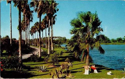 Bayview postcard palm tree - bayview,