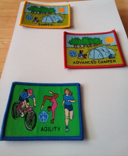Girlguiding badges