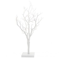 White Manzanita Tree (76cm)