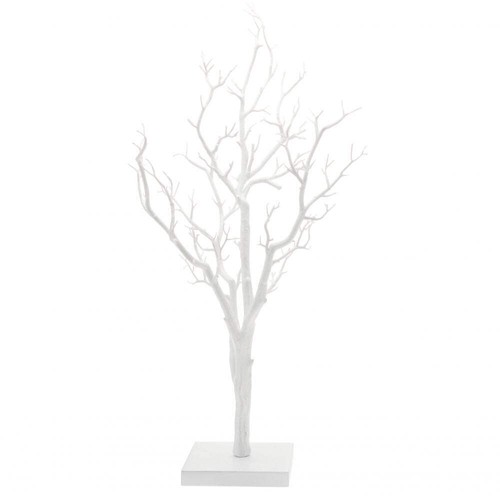 White manzanita tree - manzanita,