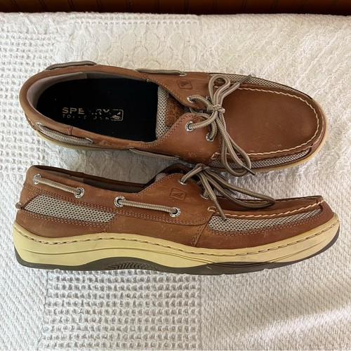 Sperry men tan and - tan,