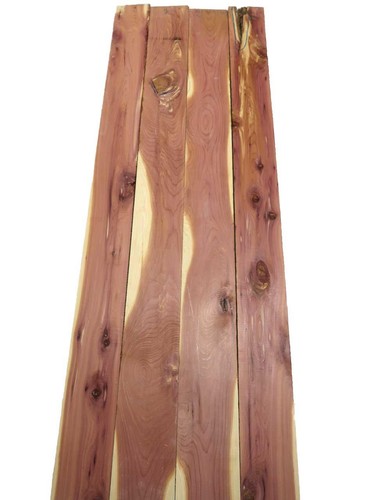Aromatic red cedar - aromatic,