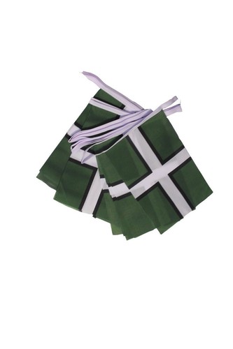 Devon bunting 100 - bunting, 100%