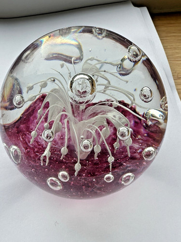 Glass domed paperweight - paperweight, with