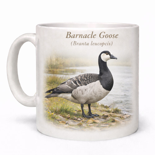 Barnacle goose branta - barnacle,