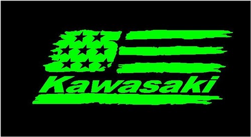 Kawasaki torn flag - , vinyl
