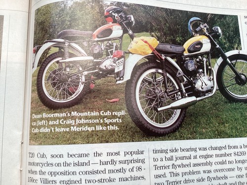 Triumph tiger cubs - tiger, mountain