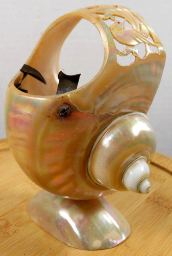 Vintage nautilus seashell - vintage,