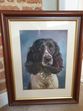 Original Painting Of An English Springer Spaniel By Mark Blue 21 X 17 Inches