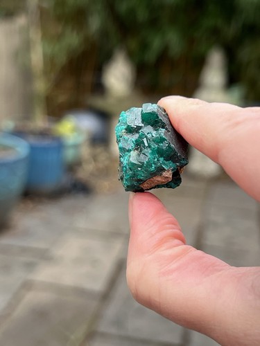 Large dioptase crystal - dioptase,