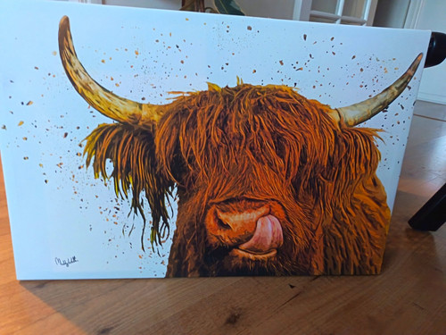 Highland cow canvas print