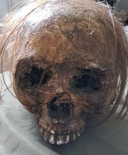 Full Size Hand-Painted Movie Grade Corse Prop skull