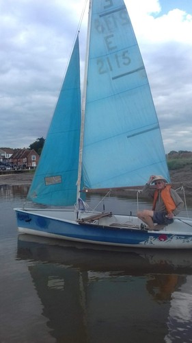 Buzz sailing dinghy 2000 - buzz,