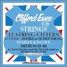 CLIFFORD ESSEX CITTERN
