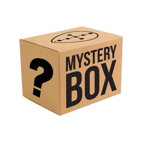 Sneaker mystery box - sneaker, potential