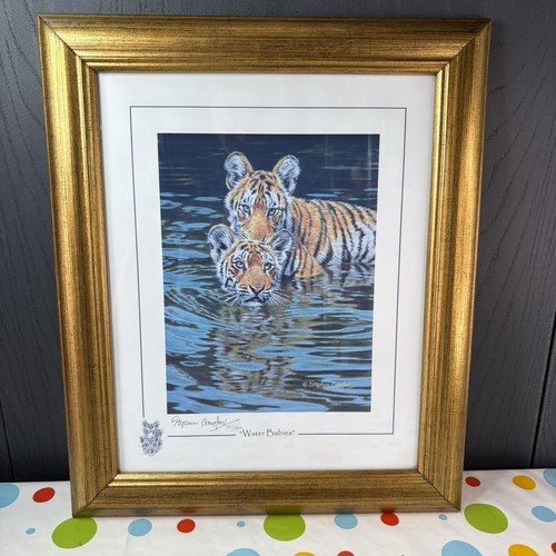 Stephen gayford tiger - stephen,