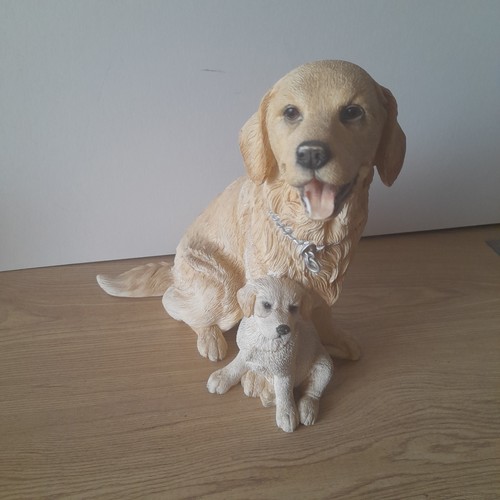 Golden retriever and pup - retriever,