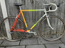 Vintage Retro Pinarello Trevino Road Racing Bike, Campagnolo And Shimano Gruppo