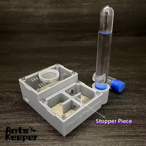 Ant farm flat - independent, room