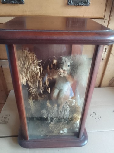 Rare antique victorian red - rare,