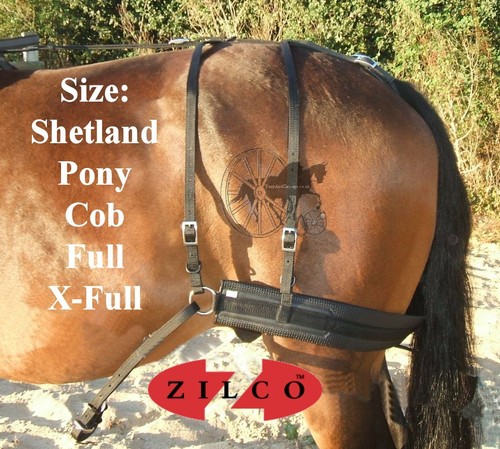 Carriage driving harness - carriage,