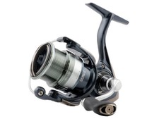 Favorite Blue Bird Spinning