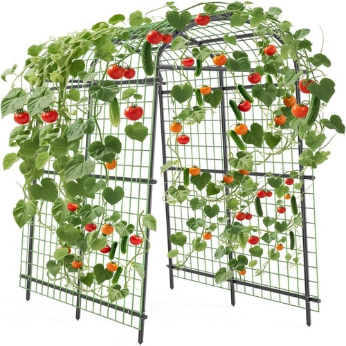 5ft garden arch trellis with - trellis,