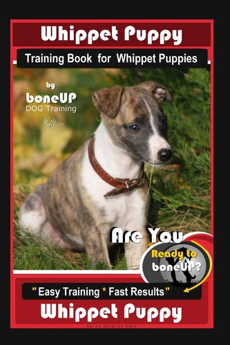 Whippet puppy training - puppy, book